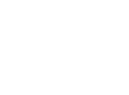 The Scout Association